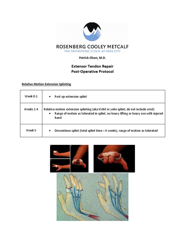 Extensor Tendon Repair Protocol PDF