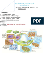 Semana 2 - Informe 2 - Componentes No Protoplasmàtico Primarios