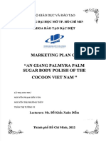 PDF The Marketig Plan of Cocoon Viet Nam Compress