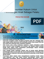 Sumber-Sumber Hukum Untuk Perlindungan Anak Sebagai Pelaku