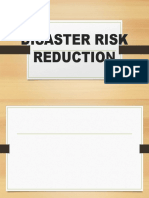 Disaster Risk Reduction