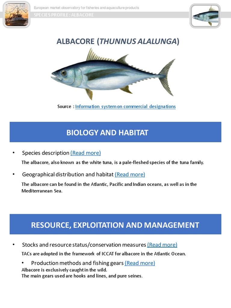 Albacore (Thunnus Alalunga) Biology and Habitat PDF Tuna Fish