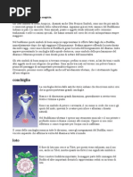 Gli Otto Simboli Del Buon Auspicio