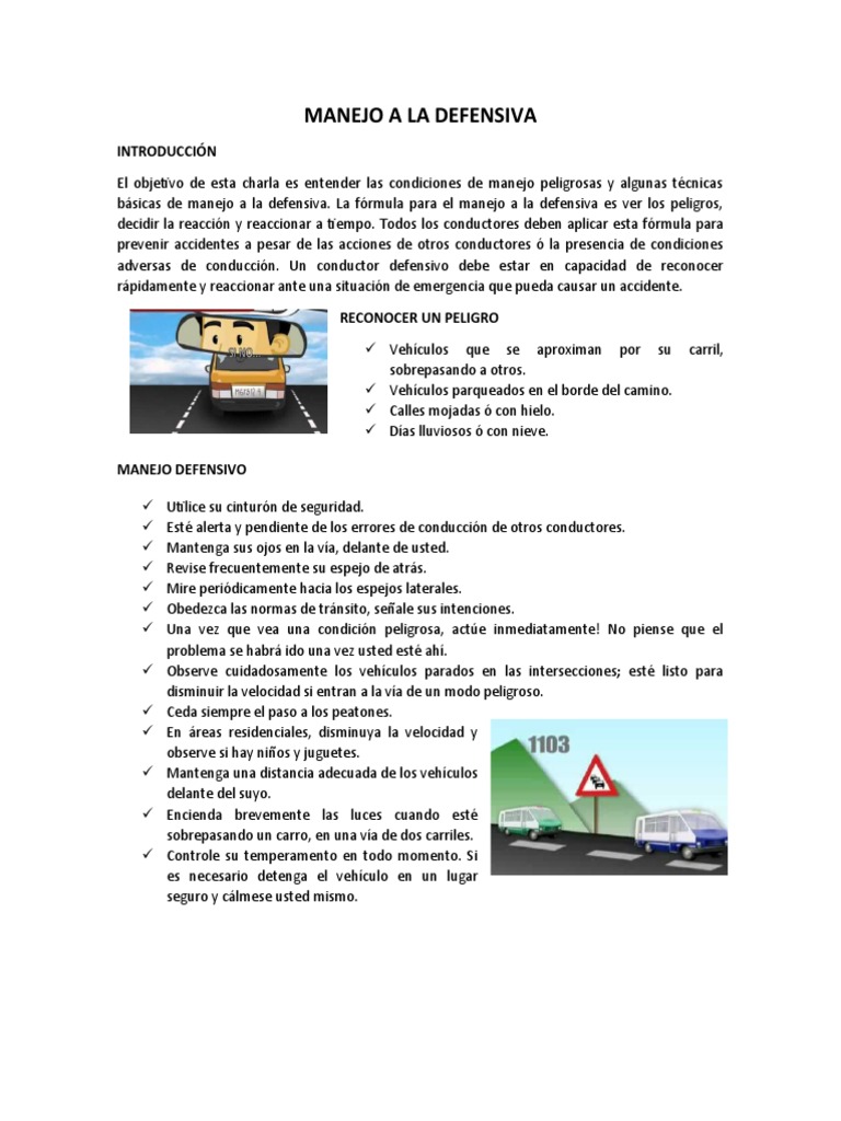 Técnicas de Manejo a la Defensiva | PDF
