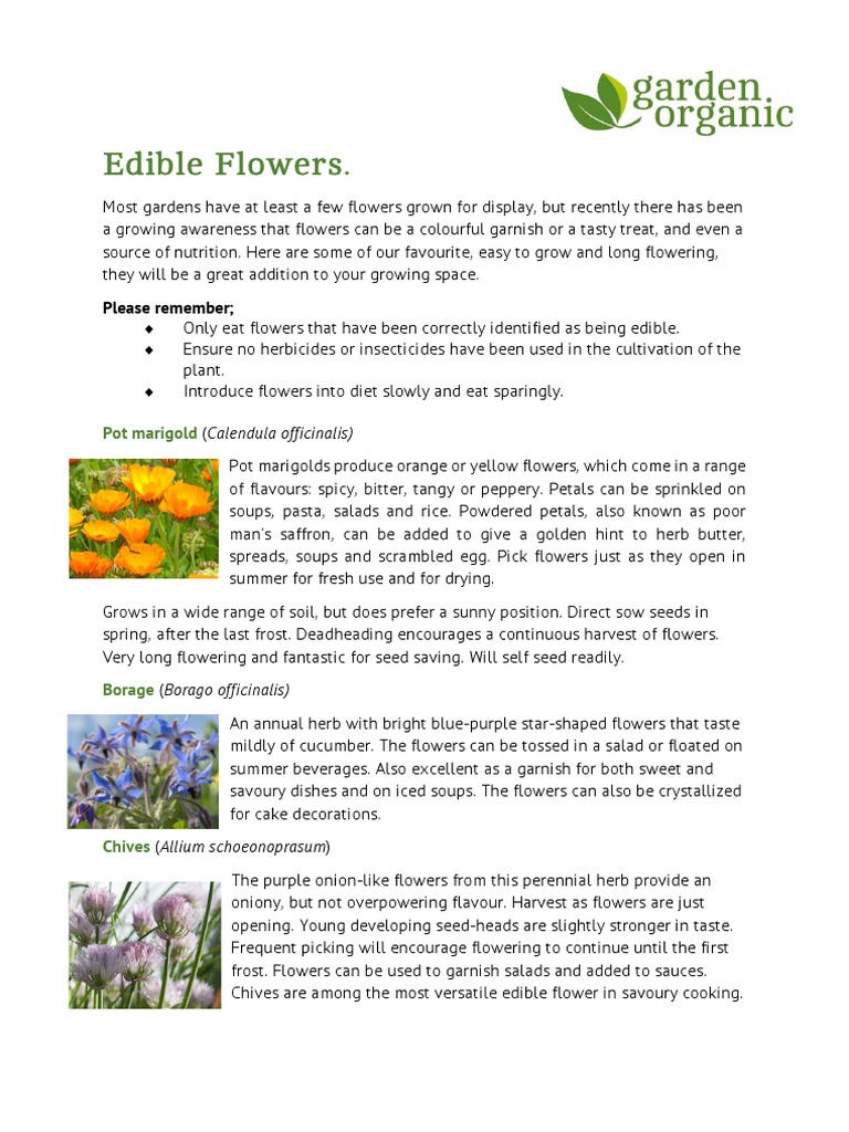 Edible Flowers PDF Food Ingredients Food And Drink