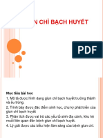 Giun Chi Bach Huyet