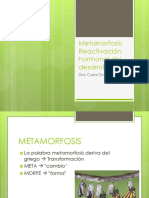 METAMORFOSIS