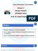DR - Hasan HEPAGUSLAR - OKSIJEN KASKADI