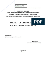 Proiect de Certificare A Calificării Profesionale