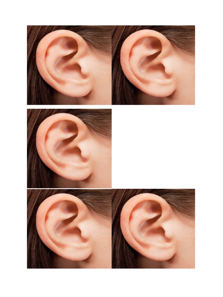 Ear PDF PDF