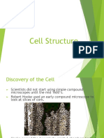 Reviewer Bio Cell Structure