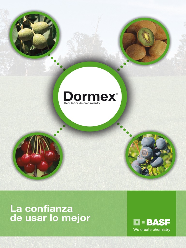 CL Folleto Dormex | PDF | Agua
