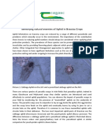 Identifying Natural Enemies of Aphid in Brassica Crops