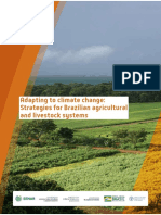 Adapting To Climate Change Strategies For Brazilian Agricultural and Livestock Systems