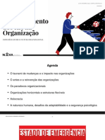 Organizações horizontais e estruturas flexíveis