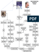 Diagrama-Flujo-Proceso-Mineral Nº5