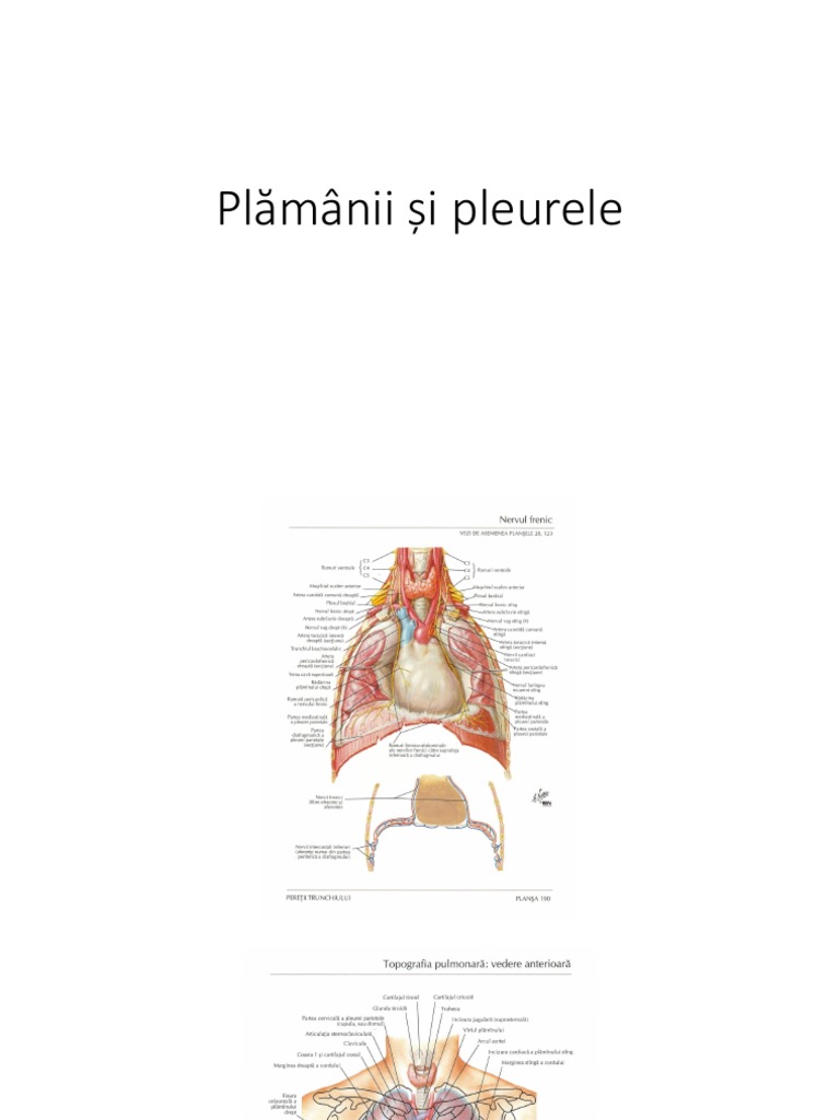Plamani Si Pleura | PDF