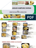 Dir. Buflo - Pengembangan Kampung Durian 2021
