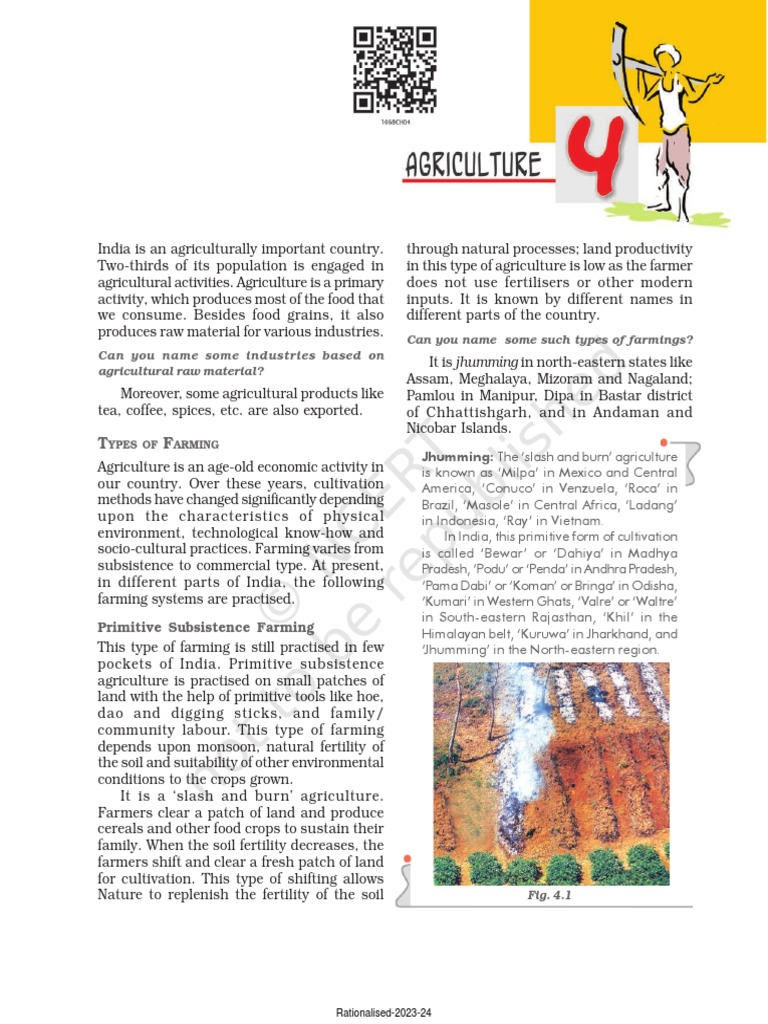 Importance of Agriculture | PDF | Agriculture | Legume