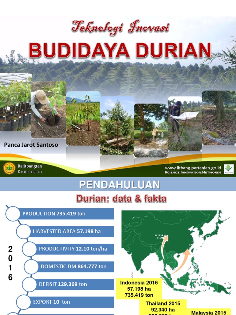 Pak Jarot - Teknovasi BUDIDAYA DURIAN Rev | PDF