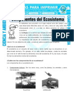 Ficha Componentes Del Ecosistema Para Cuarto de Primaria