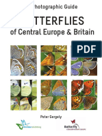 Butterflies in Central Europe and Britain 