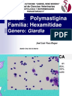 Orden: Polymastigina Familia: Hexamitidae: Género: Giardia