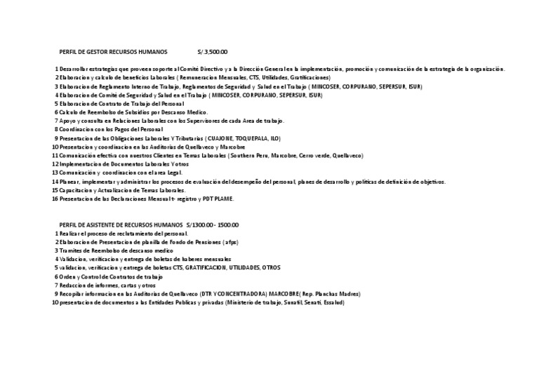 Perfil de Recursos Humanos | PDF