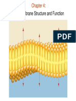 Cell Membrane Structure and Function