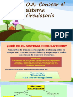 O.A: Conocer El Sistema Circulatorio