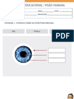 ATIVIDADE VISÃO HUMANA