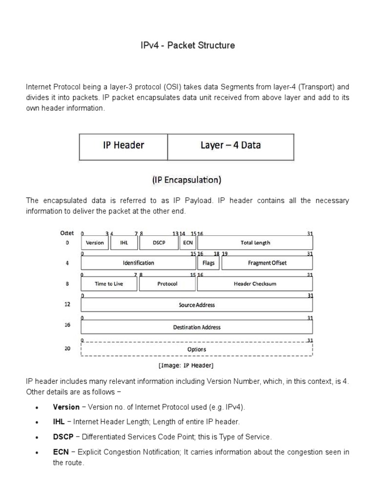 IPv4 - Packet Structure | PDF