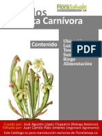 Cuidados Planta Sarracenia