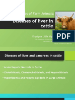 Diseases of liver in cattle 2023