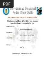Download Produccion de Bioinsecticidas a Base de Bacillus sp by Romulo Aycachi Inga SN6392137 doc pdf