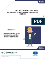 Neralidades Del Auditor Hseq