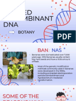 Group 1 Applied Recombinant Dna Botany