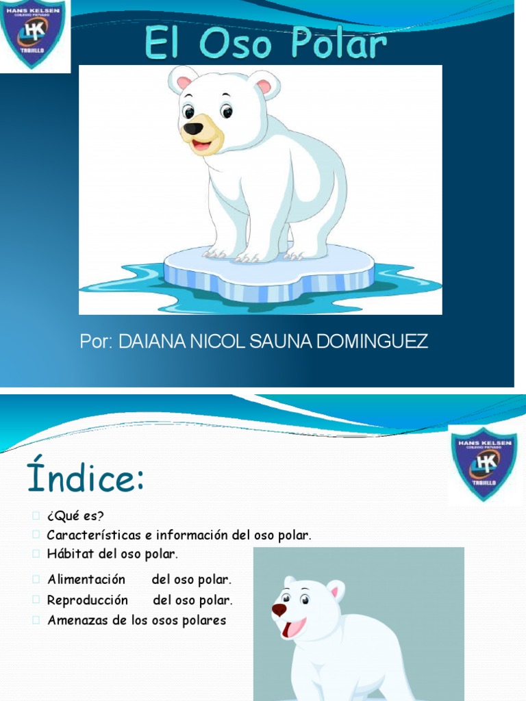 Oso polar (animal) - Información, hábitat y características