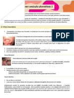 Clase 8 Lesiones Vesiculo Ulcerativas 1