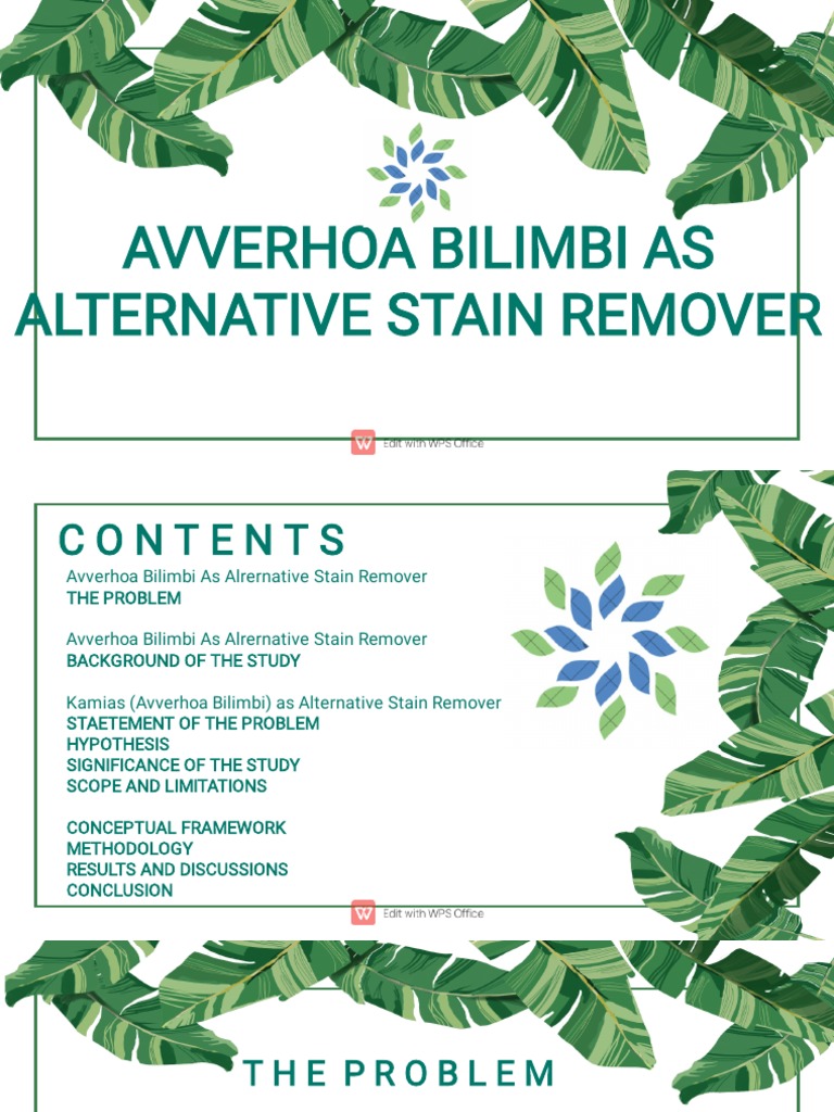 Avverhoa Bilimbi As Alternative Stain Remover PDF Bleach