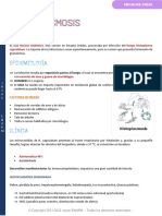 Histoplasmosis: Definición