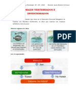 Animales Vertebrados e Invertebrados