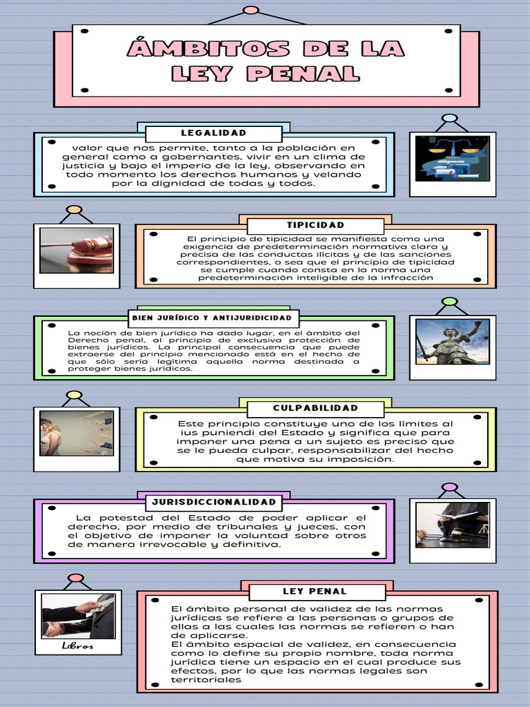 Infografia de Derecho | PDF