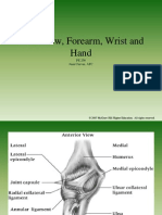 The Elbow, Forearm, Wrist and Hand: PE 236 Juan Cuevas, ATC