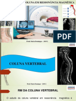 Protocolos de Coluna em Ressonância M: Agnética