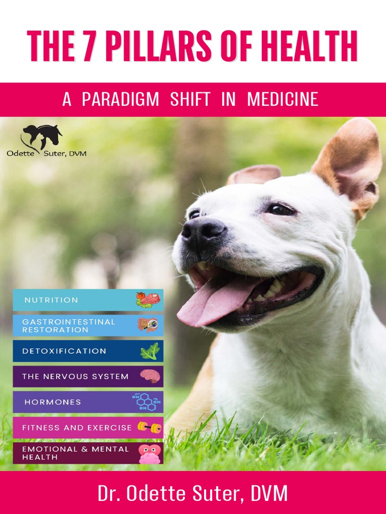 The 7 Pillars of Health Ebook PDF Gastrointestinal Tract Brain