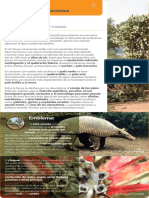Reserva Natural Formosa: 9.005 ha de bosques y fauna del Chaco Seco