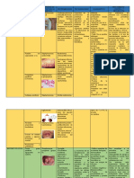 Cuadro Comparativo Estreptococos y Estafilococos - Karina Mares Tavarez - Fisioteriapia Sabatina 2-B