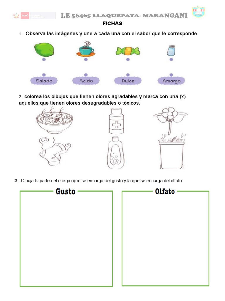 Ficha de Ciencia y Tecnologia Sentidos | PDF