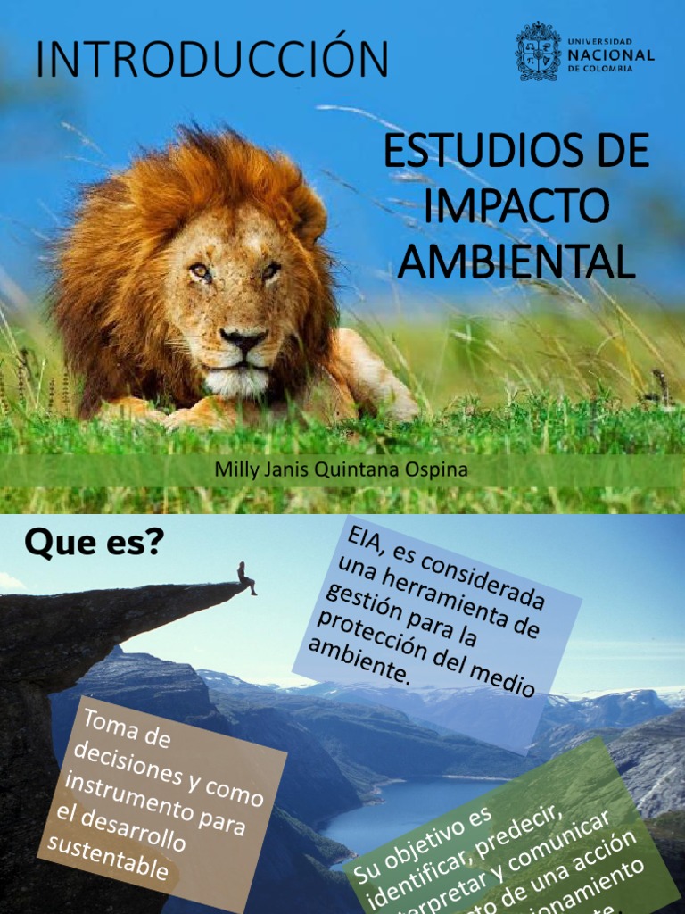 Guía sobre Estudios de Impacto Ambiental | PDF | Entorno natural ...